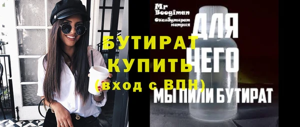 сатива Бородино