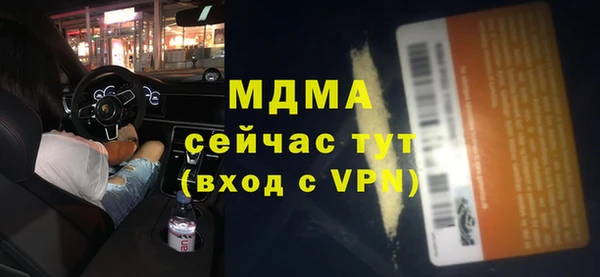 сатива Бородино