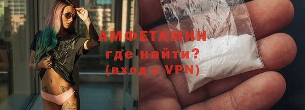 сатива Бородино