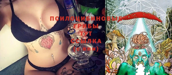 сатива Бородино