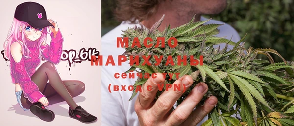сатива Бородино