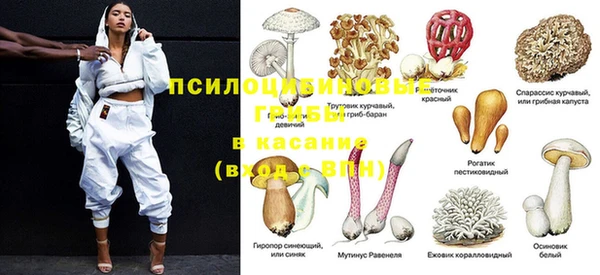 спиды Бронницы