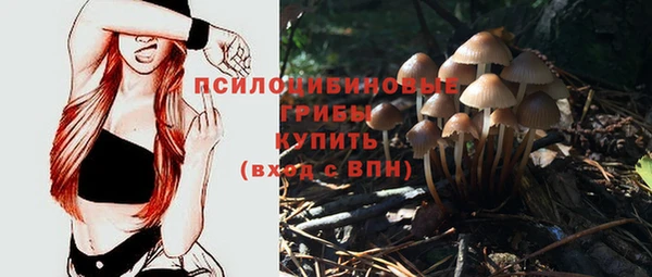 мдпв Сафоново